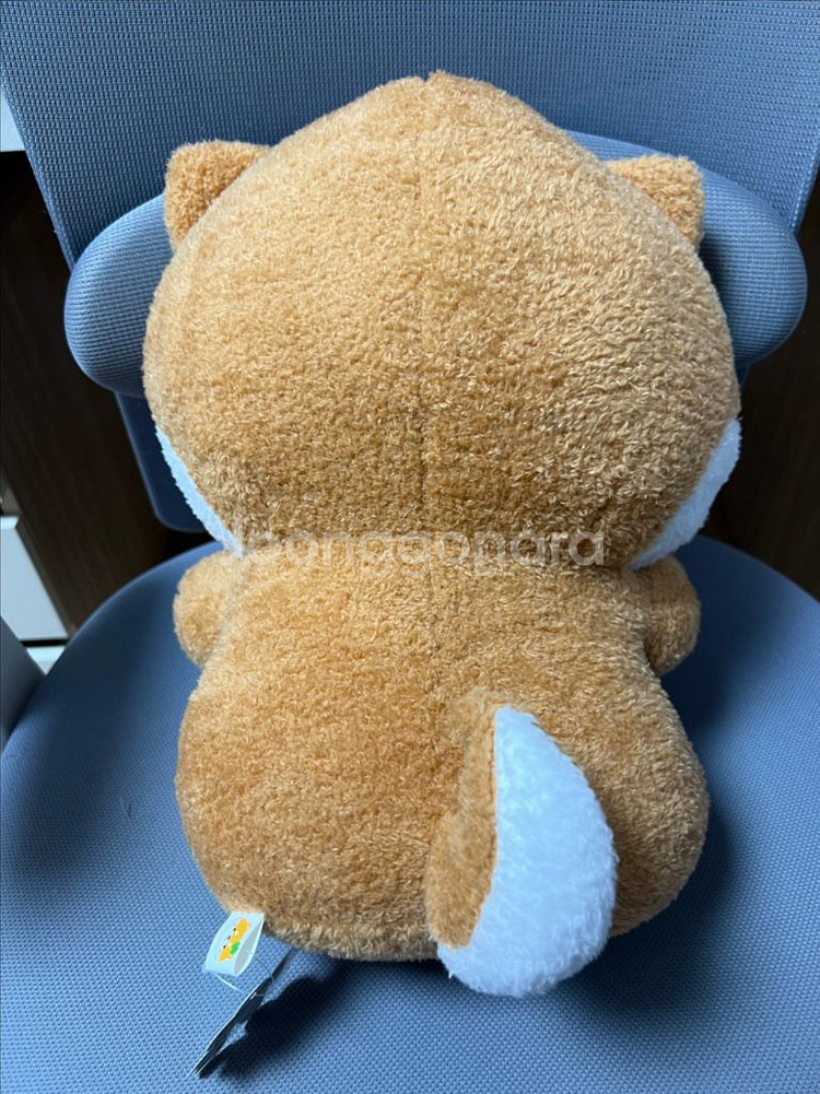 네잎클로버 시바견 대형 인형 팝니당--1