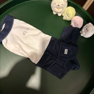 강아지옷굿업
