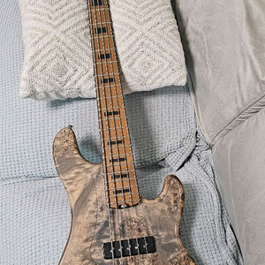 콜트 모던 5 cort modern 5현 베이스