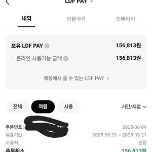 LDF PAY 전점 156,813원