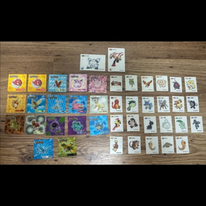 포켓몬 42장에 만원