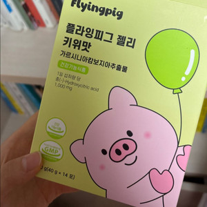 플라잉피그 젤리