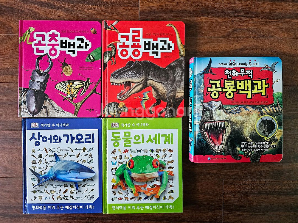 곤충,공룡,상어,동물 백과 외 공룡카드 등--0