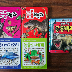 곤충,공룡,상어,동물 백과 외 공룡카드 등