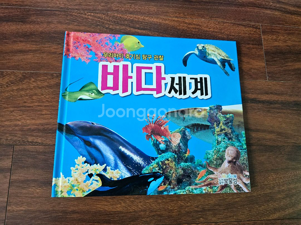 곤충,공룡,상어,동물 백과 외 공룡카드 등--3