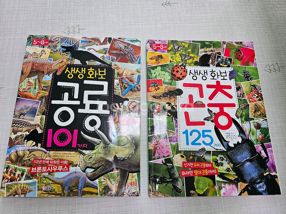 곤충,공룡,상어,동물 백과 외 공룡카드 등--7