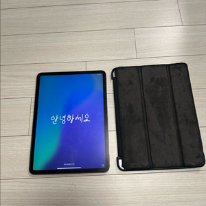 아이패드 프로 2세대 11인치 256gb 셀룰러 스그