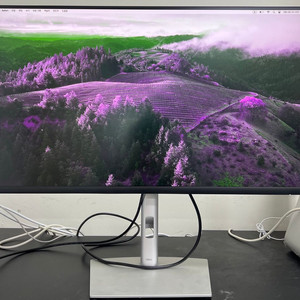 DELL P3223QE 32인치 모니터 (C급)