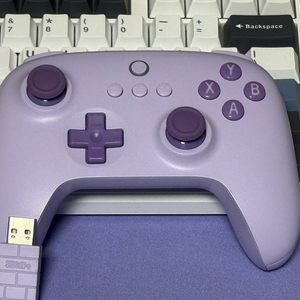 8bitdo 얼티메이트 2C