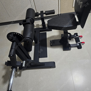 뉴젠 바레타 레그옵션 레그익스컬 세종
