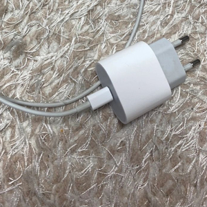 애플 어댑터