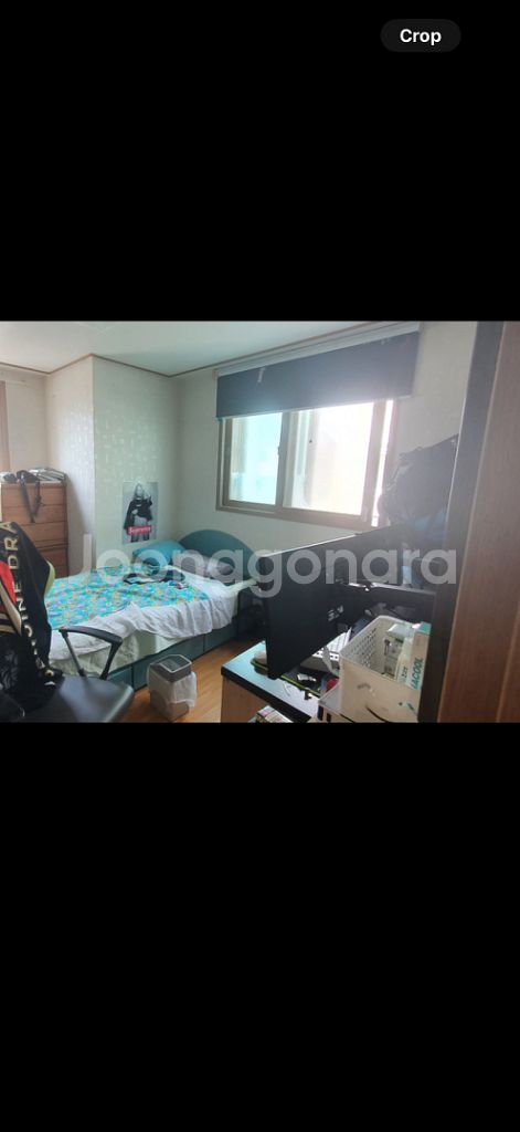 lg 울트라 와이드 모니터--2