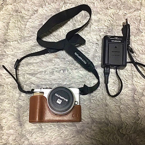 올림푸스 e-pl1