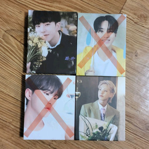 세븐틴 캐럿반 바인더