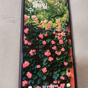 홍미노트10프로