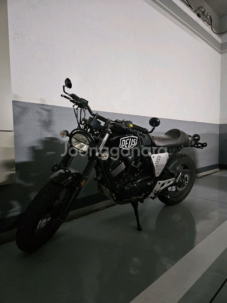 SSR모터스포츠 부캐너 250 2020년식--1