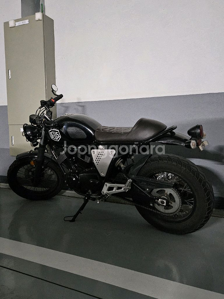 SSR모터스포츠 부캐너 250 2020년식--2