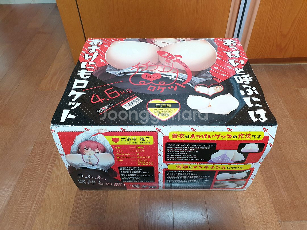 치치후에타 로켓 판매합니다--0