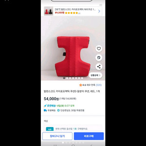 밸런스코드 카이로프랙틱 쿠션 D형