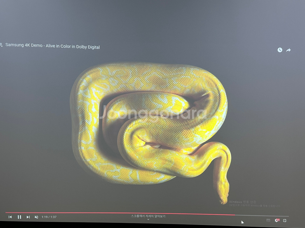 파나소닉 PT-VZ570 세미단초점 5000안시 풀HD--2