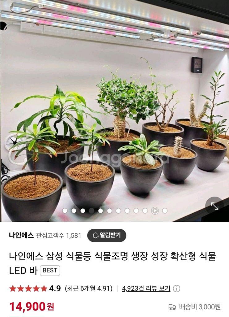나인에스 식물등 바형--1