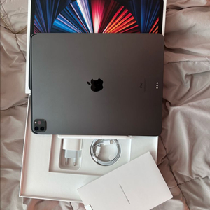 iPad Pro 12.9형 5세대 스페이스그레이 민트급