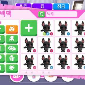 입양하세요 박쥐 팔아요