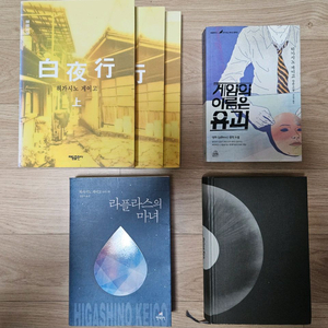 히가시노게시고 소설