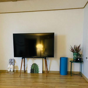 삼성 65인치 UHD TV