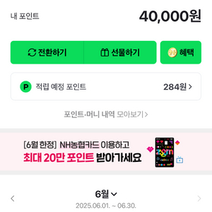 네이버페이 포인트 40000원 팝니다