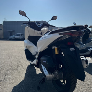 PCX 신차 저신용 무료탁송 유지보수 인수형