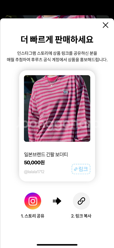 긴팔 보더티--0