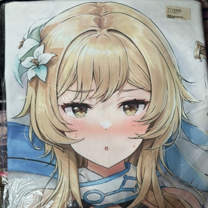 少女の杜(晃田ヒカ) 원신 여행자 다키마쿠라 커버