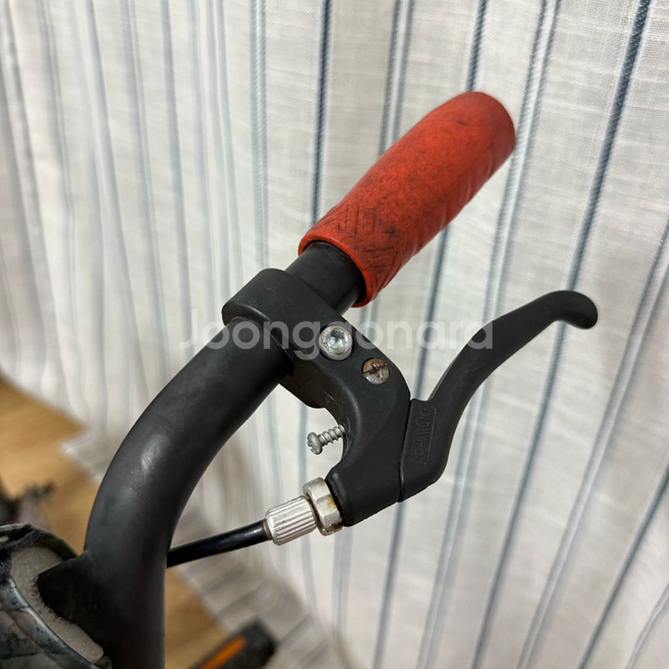 Dynacraft Realtree 16 BMX 비엠엑스--2
