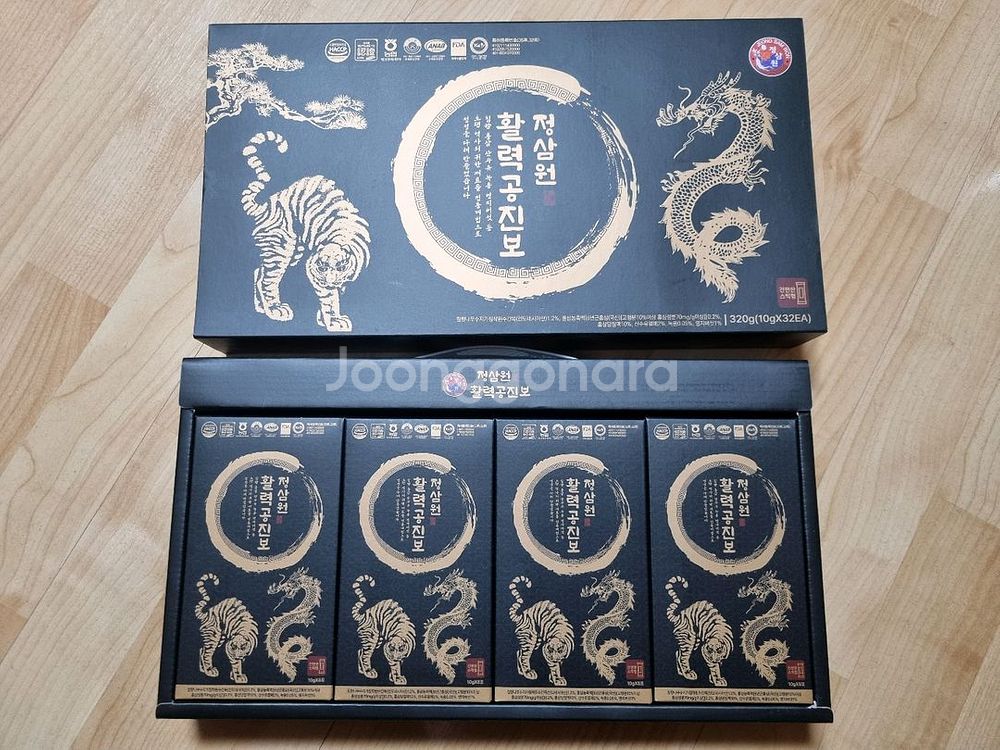 정삼원 활력공진보--0