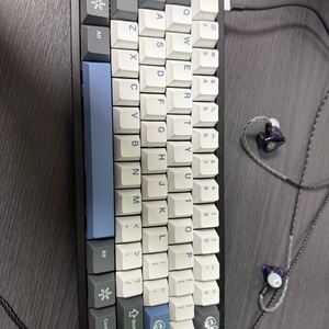 베놈 60he + 홀리 케이스 게이밍 커스텀 키보드