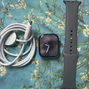 애플워치10티타늄 내추럴 42mm SSS급