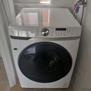 삼성 드럼 세탁기 (대용량 19kg)