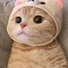더쿠 아이디 팔아요