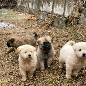 로아 닉네임 팝니다.