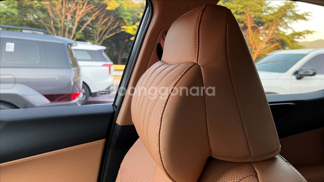 레이덴 목쿠션 헤드레스트 일체형 ES NX RX UX--3