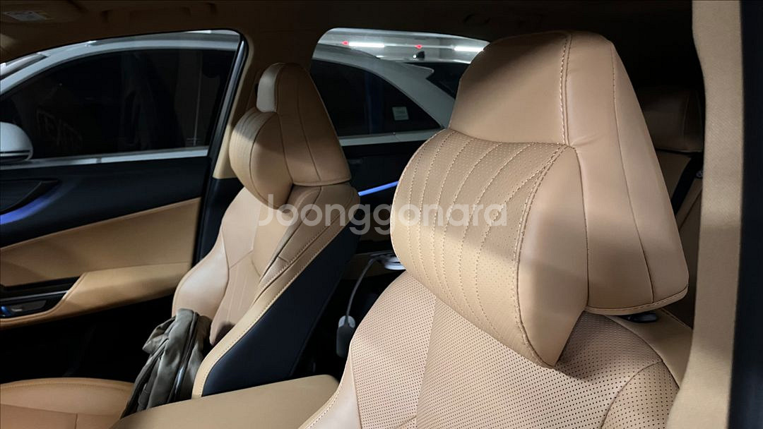 레이덴 목쿠션 헤드레스트 일체형 ES NX RX UX--1