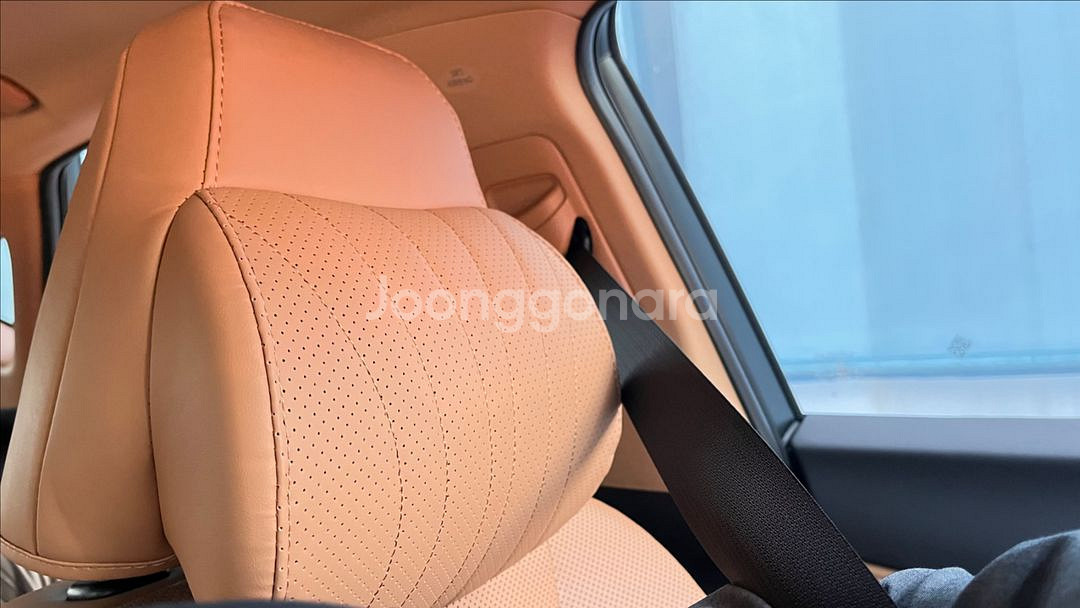 레이덴 목쿠션 헤드레스트 일체형 ES NX RX UX--2