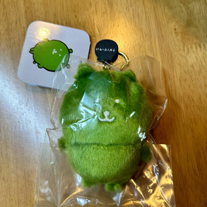 컬러농담곰 초록 말차색