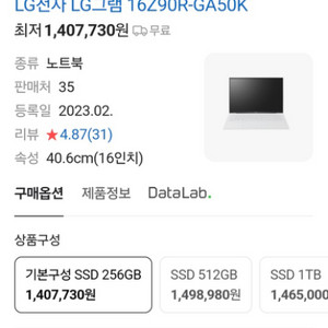 LG그램