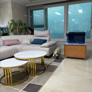 (경기 북부) 호야 2자 광폭 올디아망 수조 8T 프리