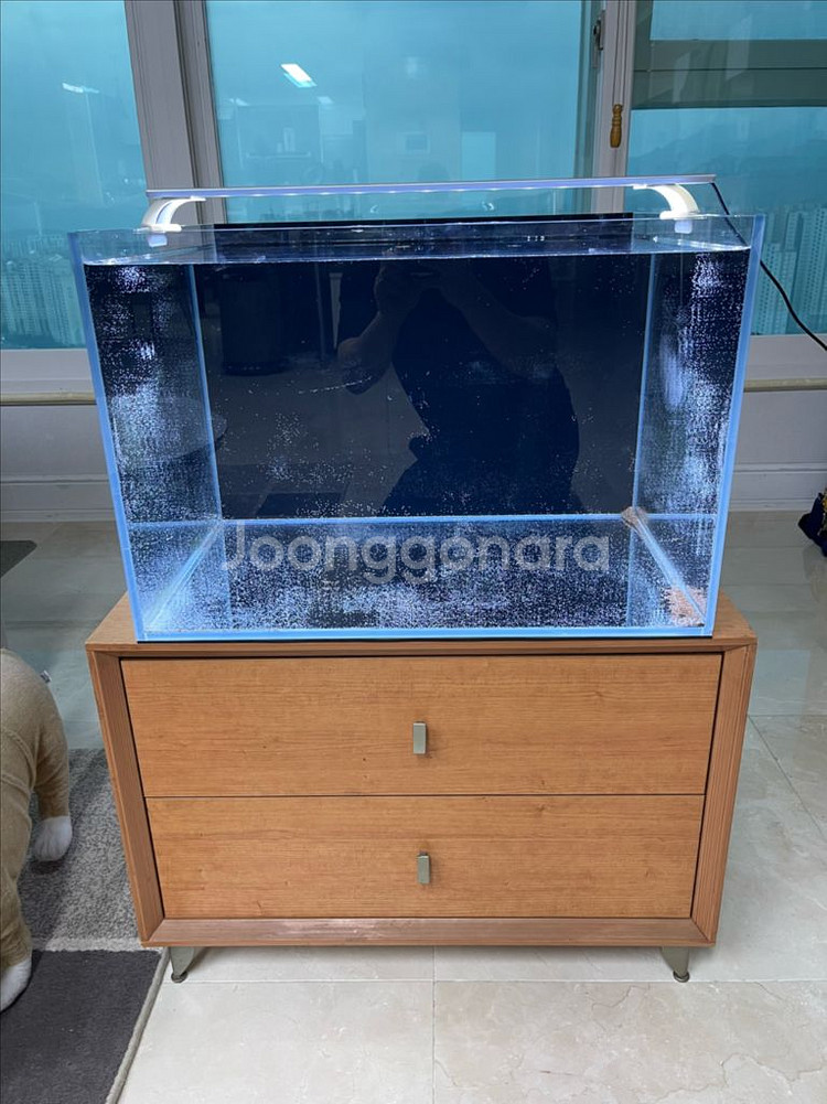(경기 북부) 호야 2자 광폭 올디아망 수조 8T 프리--1