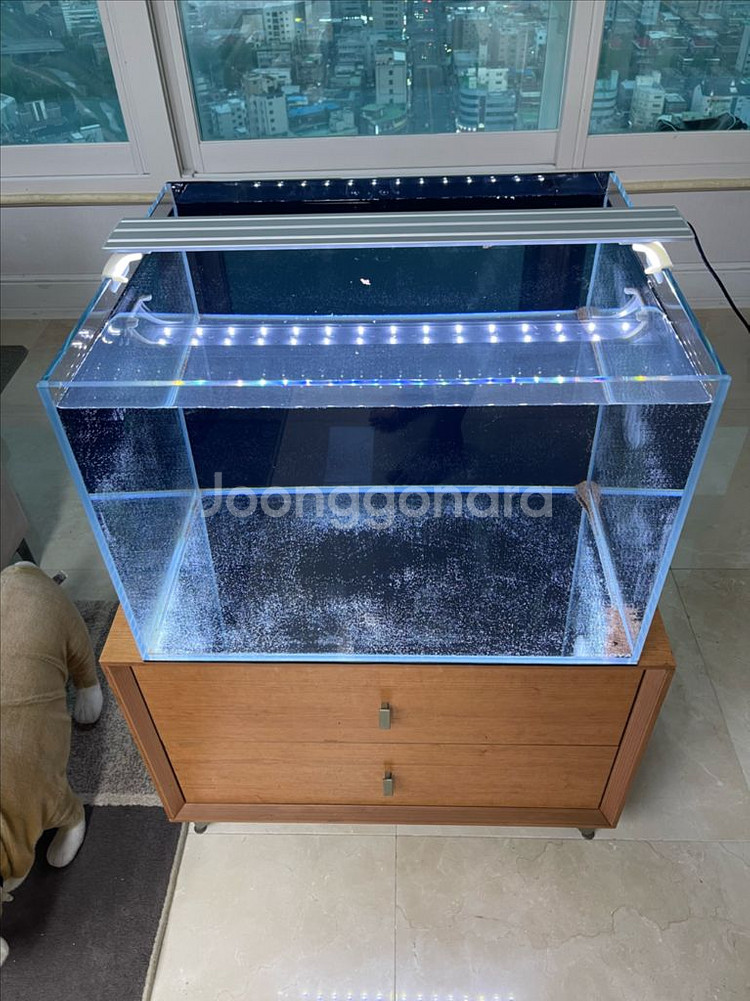 (경기 북부) 호야 2자 광폭 올디아망 수조 8T 프리--5