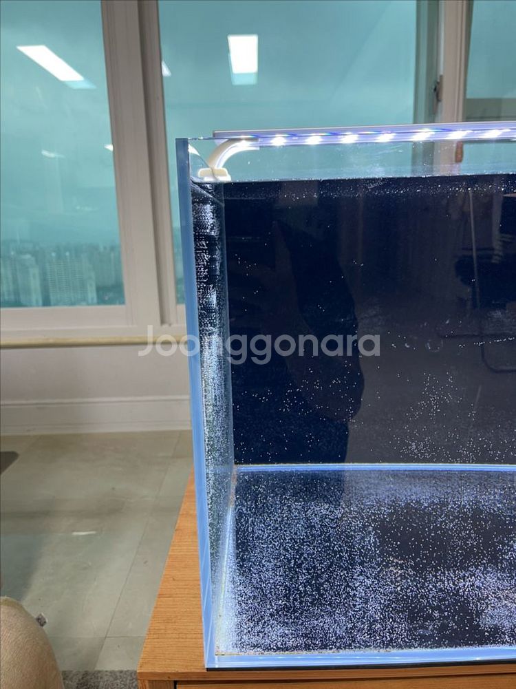 (경기 북부) 호야 2자 광폭 올디아망 수조 8T 프리--3