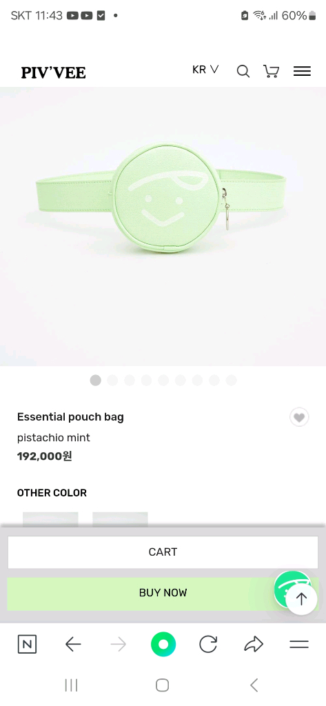 피브비 볼파우치벨트--1